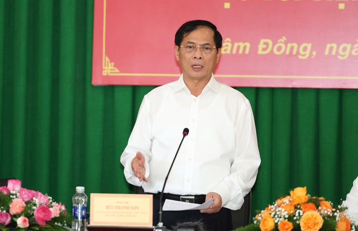 Phó Thủ tướng Bùi Thanh Sơn làm việc với Viện Nghiên cứu hạt nhân- Ảnh 3.