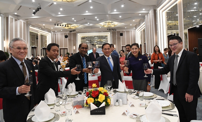 30 năm Việt Nam tham gia ASEAN - Cánh cửa đầu tiên và quan trọng nhất- Ảnh 4.