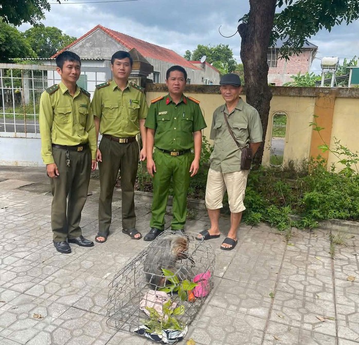 Con khỉ quý hiếm 9kg khiến một gia đình ở Quảng Trị "dở khóc dở cười" - Ảnh 1.