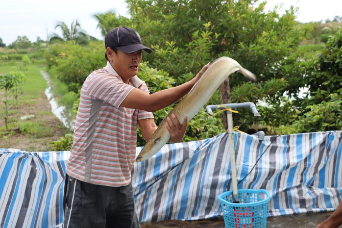 Cà Mau phê duyệt 2 dự án quan trọng- Ảnh 1.
