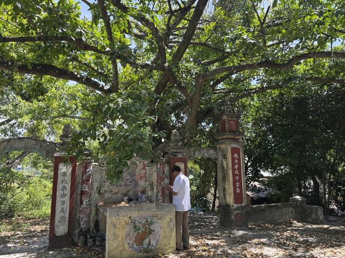 Gìn giữ rừng làng giữa phố - Ảnh 2.