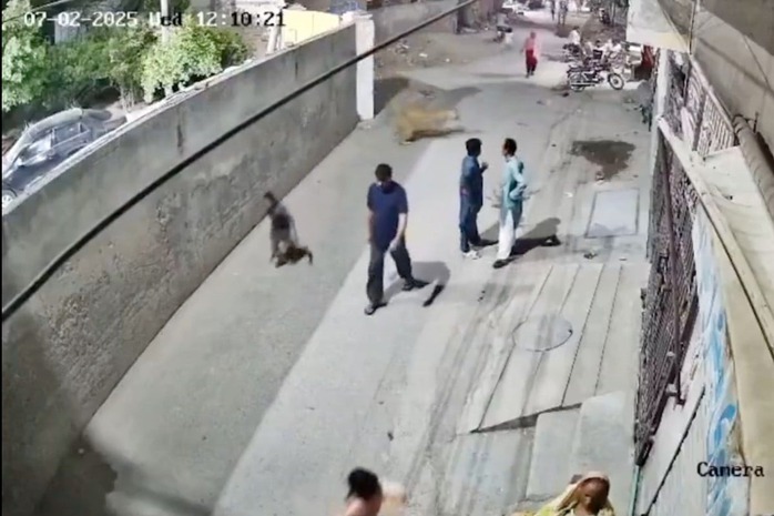 Kinh hoàng sư tử vượt tường tấn công phụ nữ, trẻ em giữa phố ở Pakistan- Ảnh 1. Kinh hoàng sư tử vượt tường tấn công phụ nữ, trẻ em giữa phố ở Pakistan- Ảnh 1.