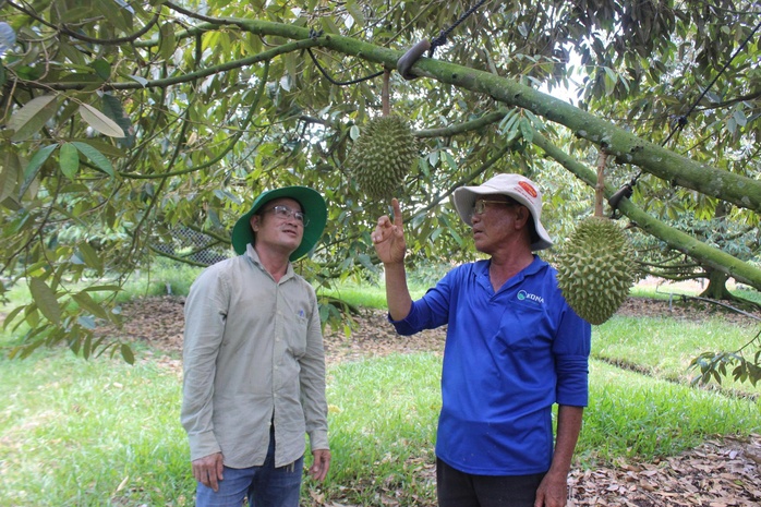Loạt dự án chiến lược ở Tây Ninh được chấp thuận chủ trương đầu tư- Ảnh 1. Loạt dự án chiến lược ở Tây Ninh được chấp thuận chủ trương đầu tư- Ảnh 1.