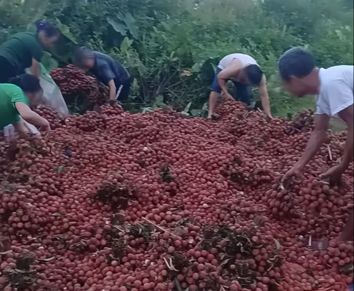 Xe tải gặp nạn, 4 tấn vải "biến mất" trong đêm- Ảnh 1. Xe tải gặp nạn, 4 tấn vải "biến mất" trong đêm- Ảnh 1.