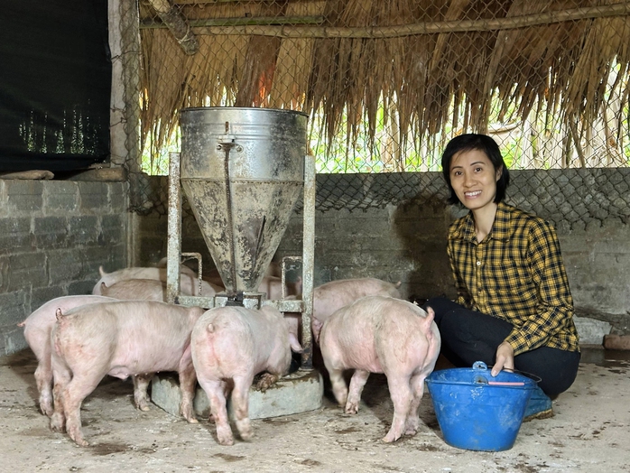 F88 lập "cú hat-trick" giải thưởng tại Asian Banking & Finance 2025- Ảnh 4. F88 lập "cú hat-trick" giải thưởng tại Asian Banking & Finance 2025- Ảnh 4.