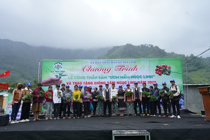 Hội thi sâm Ngọc Linh tại Đà Nẵng: Bảo tồn và phát triển kinh tế địa phương - Ảnh 5. Hội thi sâm Ngọc Linh tại Đà Nẵng: Bảo tồn và phát triển kinh tế địa phương - Ảnh 5.
