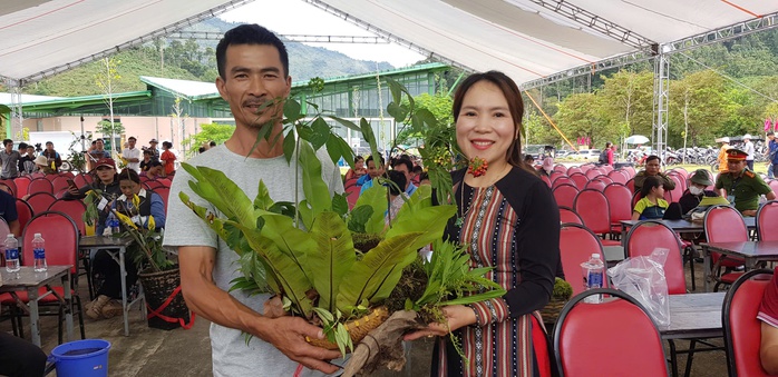 Hội thi sâm Ngọc Linh tại Đà Nẵng: Bảo tồn và phát triển kinh tế địa phương - Ảnh 3. Hội thi sâm Ngọc Linh tại Đà Nẵng: Bảo tồn và phát triển kinh tế địa phương - Ảnh 3.