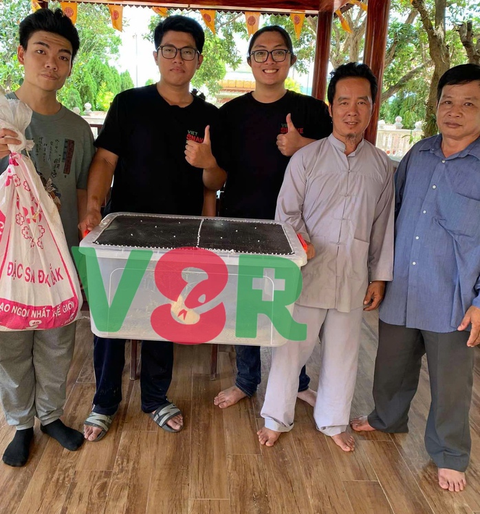 Xôn xao clip một TikToker phóng sinh bầy rắn hổ mang chúa mới nở - Ảnh 2.