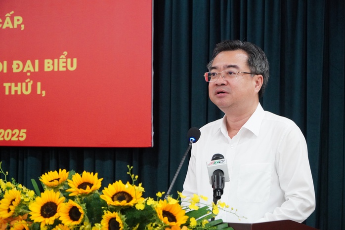 Đề nghị đưa mục tiêu mỗi cặp vợ chồng có 2 con vào Nghị quyết Đại hội Đảng bộ TP HCM lần thứ I - Ảnh 4.
