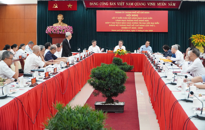 Đề nghị đưa mục tiêu mỗi cặp vợ chồng có 2 con vào Nghị quyết Đại hội Đảng bộ TP HCM - Ảnh 1.