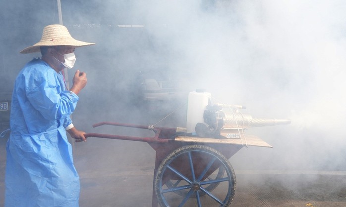Muỗi vằn truyền bệnh Chikungunya: Việt Nam có nguy cơ? - Ảnh 1.