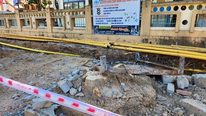 Hàng trăm cây xanh sẽ bị đốn hạ, di dời để cải tạo vỉa hè?- Ảnh 4. Hàng trăm cây xanh sẽ bị đốn hạ, di dời để cải tạo vỉa hè?- Ảnh 4.