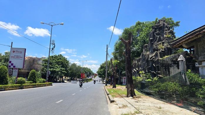 Hàng trăm cây xanh sẽ bị đốn hạ, di dời để cải tạo vỉa hè?- Ảnh 2. Hàng trăm cây xanh sẽ bị đốn hạ, di dời để cải tạo vỉa hè?- Ảnh 2.