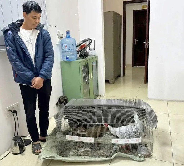 Thông tin mới vụ lĩnh 6 năm tù vì nuôi bán 13 con gà lôi trắng - Ảnh 2.
