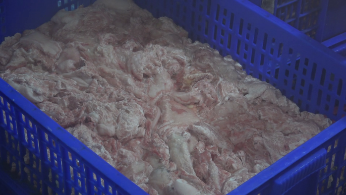 VIDEO: Bất ngờ số thịt, mỡ động vật trong 2 kho lạnh ở Đồng Tháp- Ảnh 4. VIDEO: Bất ngờ số thịt, mỡ động vật trong 2 kho lạnh ở Đồng Tháp- Ảnh 4.