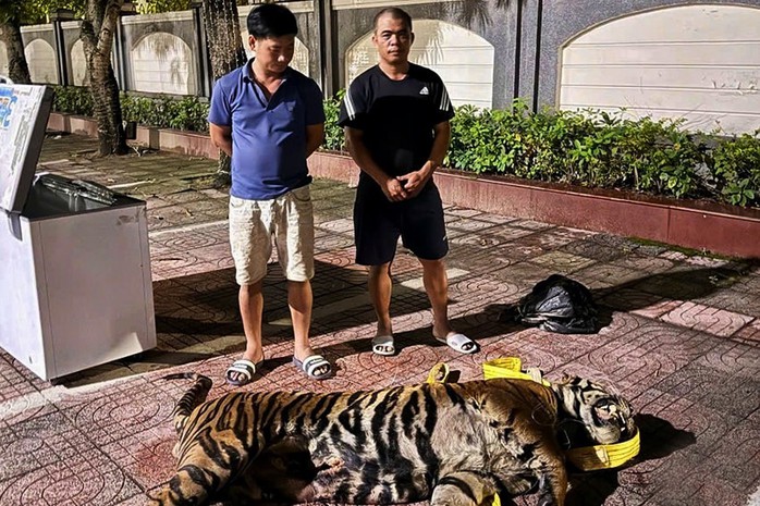 Hà Tĩnh: Triệt phá nhiều vụ buôn lậu, vận chuyển hàng cấm- Ảnh 1.