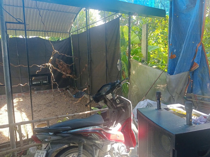 Thái Khắc Thành nhân giống gà lôi trắng: Hành trình Từ nhà nông đến tù nhân - Ảnh 1. Thái Khắc Thành nhân giống gà lôi trắng: Hành trình Từ nhà nông đến tù nhân - Ảnh 1.