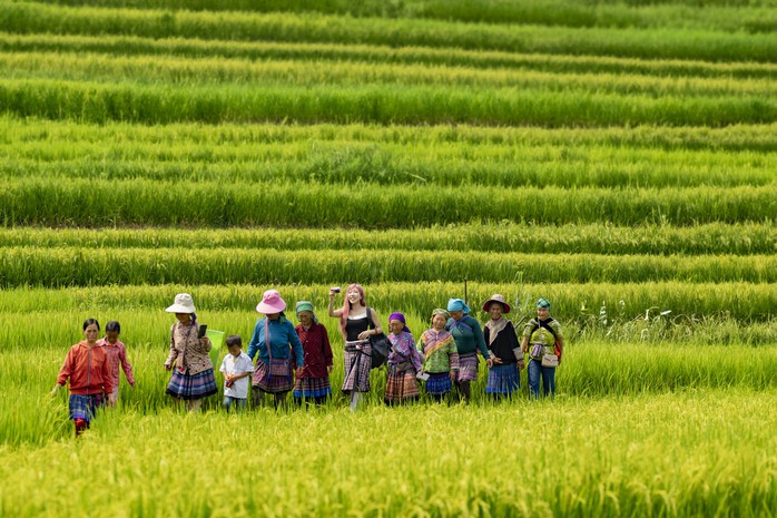 Trang Pháp ấn tượng với "Mãi là người Việt Nam"   - Ảnh 3.