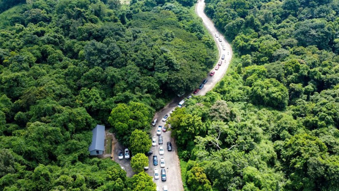 Khách du lịch mất tích nhiều ngày trong rừng Cúc Phương- Ảnh 1.