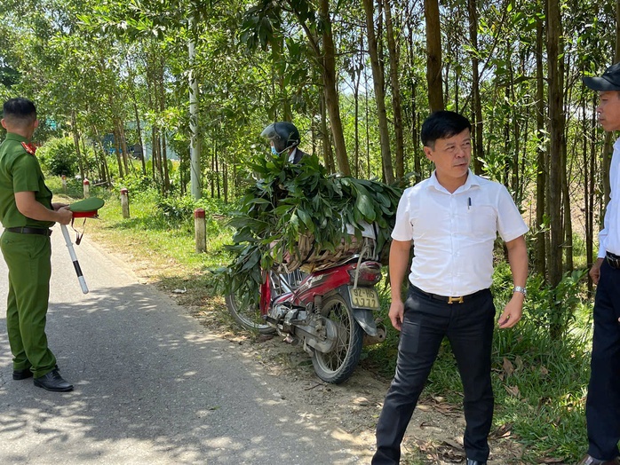 Người đàn ông Đà Nẵng chở heo bệnh lên miền núi tiêu thụ và những hệ lụy - Ảnh 1. Người đàn ông Đà Nẵng chở heo bệnh lên miền núi tiêu thụ và những hệ lụy - Ảnh 1.