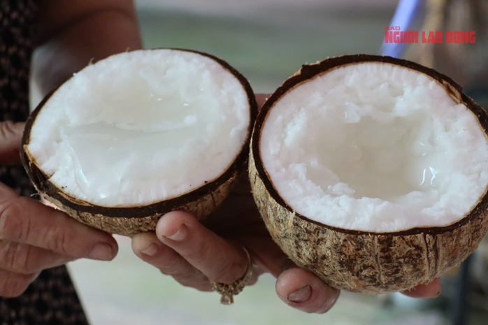 Mô hình trồng dừa sáp tại Cần Thơ mang lại thu nhập cao cho nhà vườn - Ảnh 4.