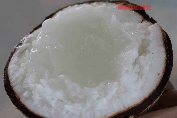 Mô hình trồng dừa sáp tại Cần Thơ mang lại thu nhập cao cho nhà vườn - Ảnh 5.