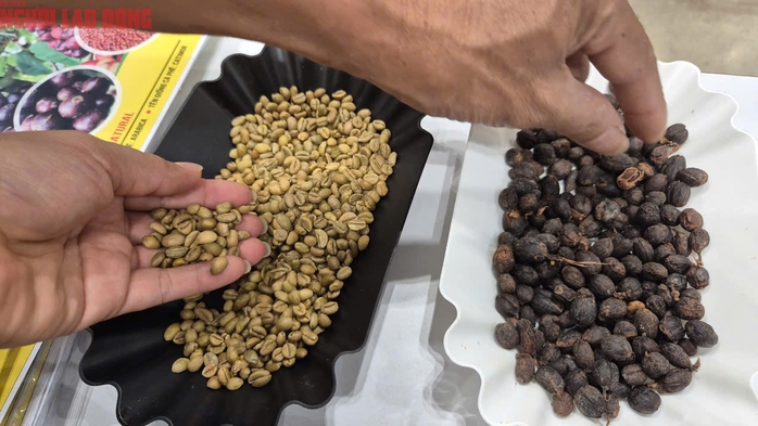 Giá cà phê hôm nay 3-8: Chủ tịch VICOFA nói gì về thuế đối ứng Mỹ- Ảnh 1. Giá cà phê hôm nay 3-8: Chủ tịch VICOFA nói gì về thuế đối ứng Mỹ- Ảnh 1.