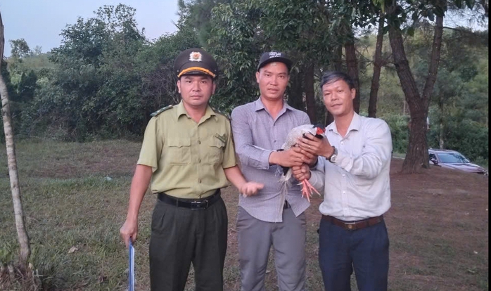 Bắt được gà lôi trắng ở hồ Thủy Tiên, nam thanh niên lập tức có hành động này - Ảnh 1.