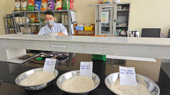 Nâng tầm hạt gạo Việt - Ảnh 1.