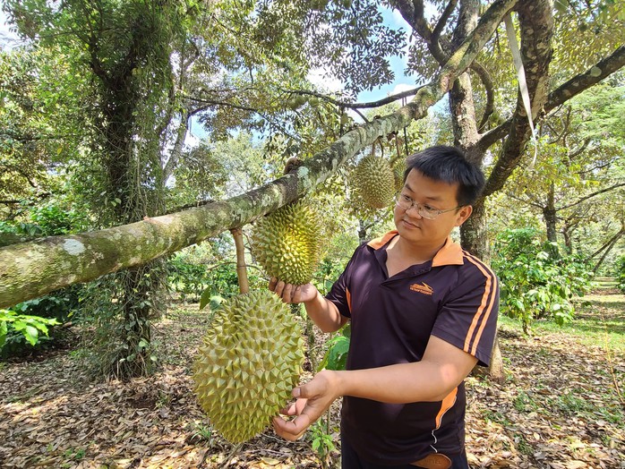 Cấp bách phát triển nông nghiệp xanh - Ảnh 1.