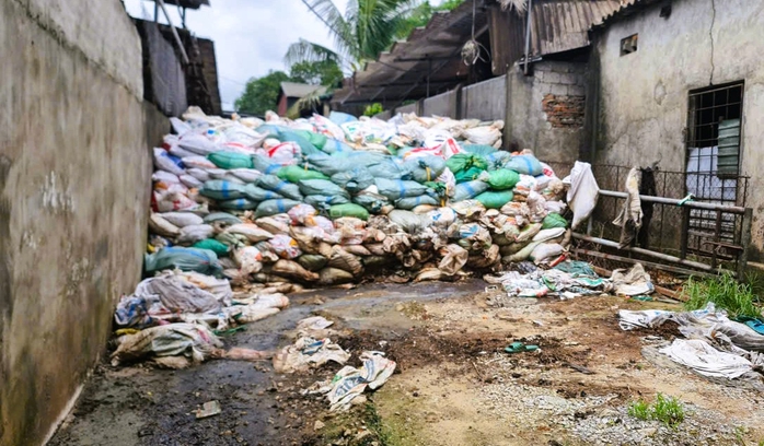 Trang trại hàng trăm con bò "mọc" sát khu dân cư ở Thanh Hóa gây mùi hôi thối- Ảnh 5. Trang trại hàng trăm con bò "mọc" sát khu dân cư ở Thanh Hóa gây mùi hôi thối- Ảnh 5.