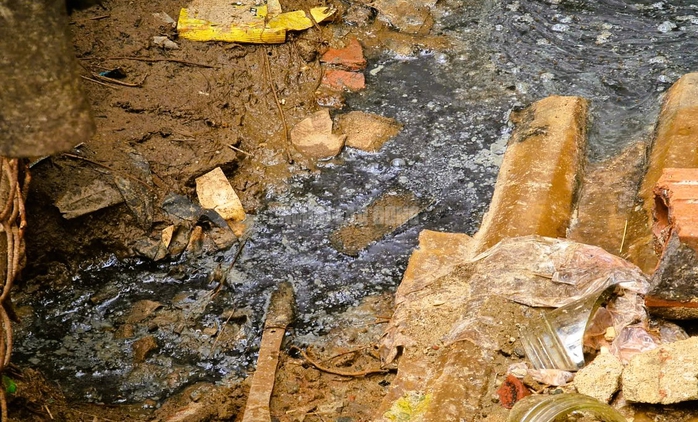 Trang trại hàng trăm con bò "mọc" sát khu dân cư ở Thanh Hóa gây mùi hôi thối- Ảnh 8. Trang trại hàng trăm con bò "mọc" sát khu dân cư ở Thanh Hóa gây mùi hôi thối- Ảnh 8.