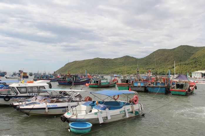 Thu phí tham quan Vịnh Nha Trang cao nhất 40 ngàn đồng/người - Ảnh 1.