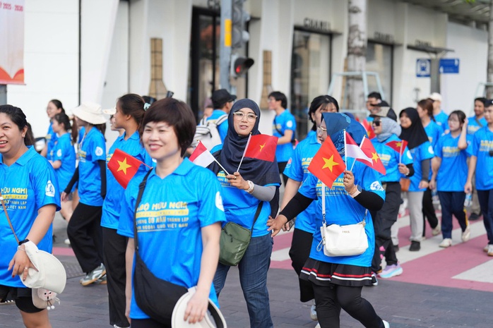 Người dân thành phố đi bộ chào mừng 80 năm ngành Ngoại giao Việt Nam- Ảnh 6. Người dân thành phố đi bộ chào mừng 80 năm ngành Ngoại giao Việt Nam- Ảnh 6.