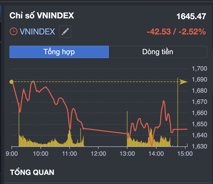 Chuyên gia nói gì sau phiên chứng khoán "đi tàu lượn", thanh khoản 2,7 tỉ USD?- Ảnh 5. Chuyên gia nói gì sau phiên chứng khoán "đi tàu lượn", thanh khoản 2,7 tỉ USD?- Ảnh 5.