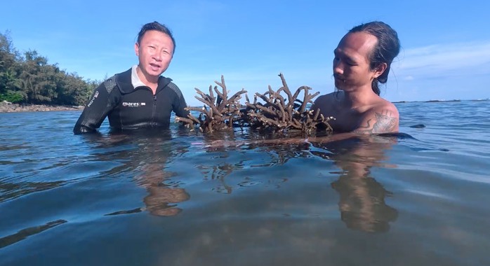Đam mê tái tạo san hô dưới đáy biển - Ảnh 1.