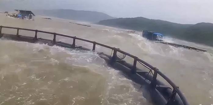 Thiệt hại hàng tỉ đồng từ lồng cá nuôi bị sóng đánh trôi tại Hòn La , Quảng Trị - Ảnh 1. Thiệt hại hàng tỉ đồng từ lồng cá nuôi bị sóng đánh trôi tại Hòn La , Quảng Trị - Ảnh 1.