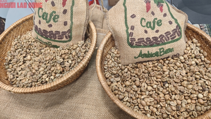 Giá cà phê hôm nay 28-8: Khó tin, Robusta tăng mạnh phiên thứ 6 liên tiếp- Ảnh 1. Giá cà phê hôm nay 28-8: Khó tin, Robusta tăng mạnh phiên thứ 6 liên tiếp- Ảnh 1.