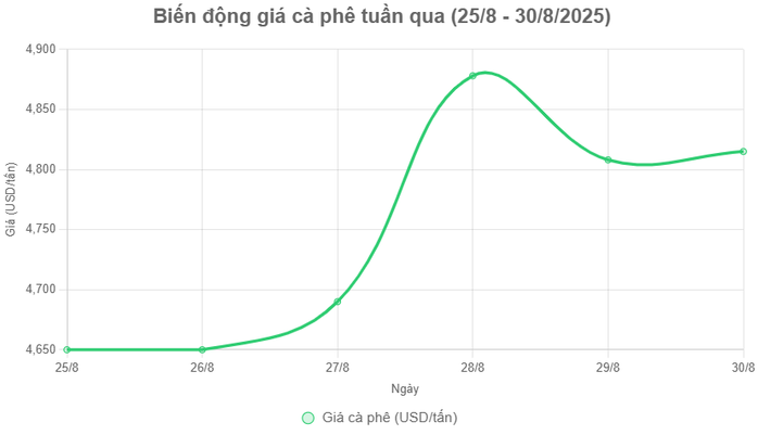 Giá cà phê hôm nay 31-8: Phân tích thị trường của "ông trùm cà phê"- Ảnh 2. Giá cà phê hôm nay 31-8: Phân tích thị trường của "ông trùm cà phê"- Ảnh 2.