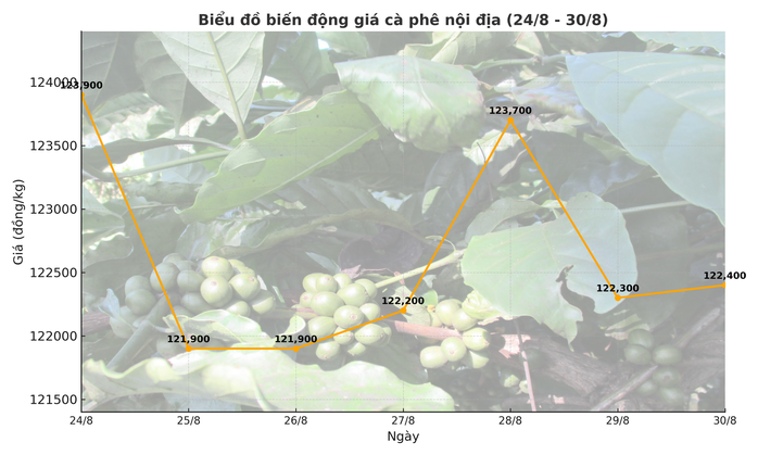 Giá cà phê hôm nay 31-8: Phân tích thị trường của "ông trùm cà phê"- Ảnh 3. Giá cà phê hôm nay 31-8: Phân tích thị trường của "ông trùm cà phê"- Ảnh 3.