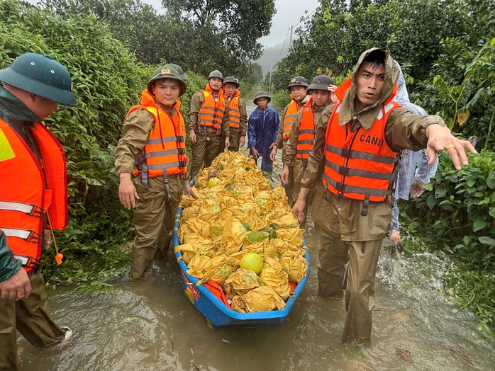 Công an ngâm mình trong nước lũ giúp dân thu hoạc bưởi - Ảnh 6. Công an ngâm mình trong nước lũ giúp dân thu hoạc bưởi - Ảnh 6.