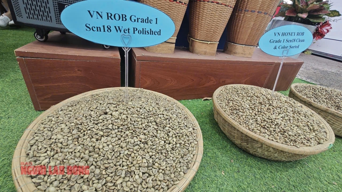 Giá cà phê hôm nay 5-8: Sắp vượt 100.000 đồng/kg, xuất khẩu lập kỷ lục - Ảnh 1.
