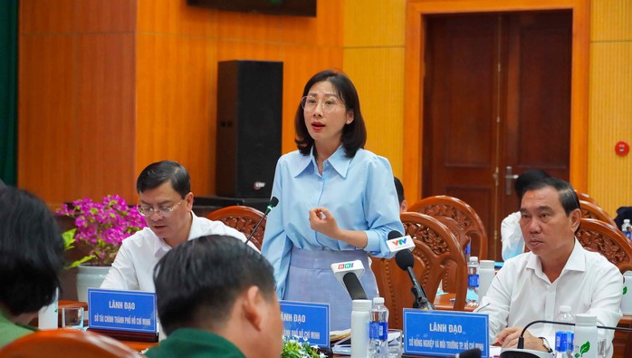 Chiến lược phát triển TP HCM định hình tương lai với mô hình một không gian ba vùng - Ảnh 2.