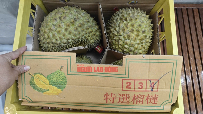 Sầu riêng quay đầu từ Trung Quốc sẽ phải kiểm vàng O trước khi tiêu thụ- Ảnh 1. Sầu riêng quay đầu từ Trung Quốc sẽ phải kiểm vàng O trước khi tiêu thụ- Ảnh 1.