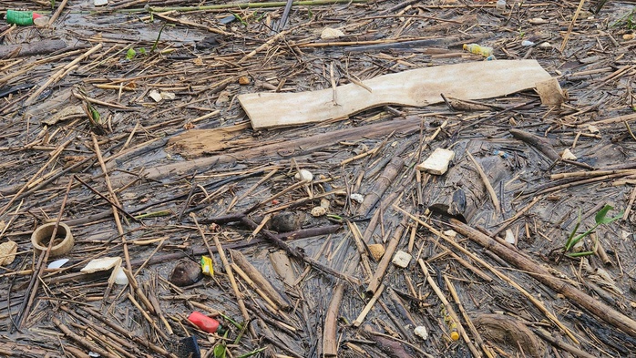 Hà Tĩnh: Hàng trăm tấn rác bao vây cảng cá và khu neo đậu tránh trú bão- Ảnh 12. Hà Tĩnh: Hàng trăm tấn rác bao vây cảng cá và khu neo đậu tránh trú bão- Ảnh 12.