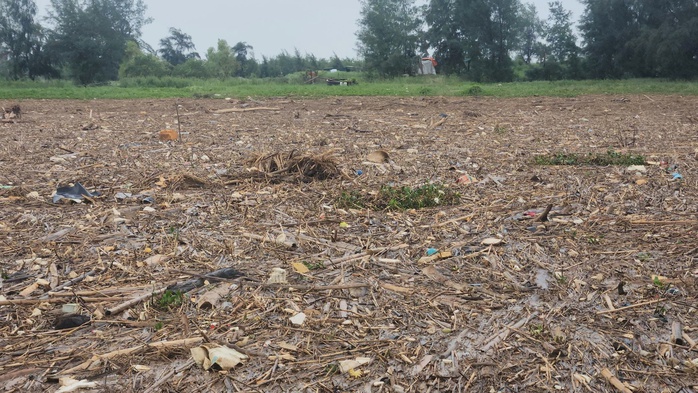 Hà Tĩnh: Hàng trăm tấn rác bao vây cảng cá và khu neo đậu tránh trú bão- Ảnh 7. Hà Tĩnh: Hàng trăm tấn rác bao vây cảng cá và khu neo đậu tránh trú bão- Ảnh 7.