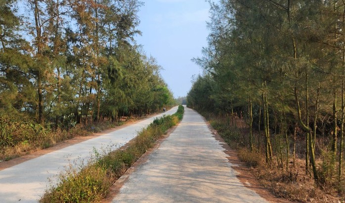 9 người bị khởi tố trong vụ đường ven biển 3,8 tỉ bị 'rút ruột' hơn 1 tỉ- Ảnh 2. 9 người bị khởi tố trong vụ đường ven biển 3,8 tỉ bị 'rút ruột' hơn 1 tỉ- Ảnh 2.