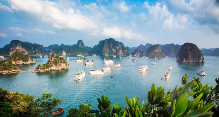 Tàu du lịch trên vịnh Hạ Long sẽ được lắp đặt thiết bị thông tin liên lạc AIS- Ảnh 1. Tàu du lịch trên vịnh Hạ Long sẽ được lắp đặt thiết bị thông tin liên lạc AIS- Ảnh 1.