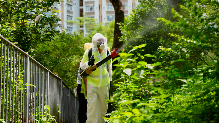 Trung Quốc tăng cường phòng chống Chikungunya - Ảnh 1.