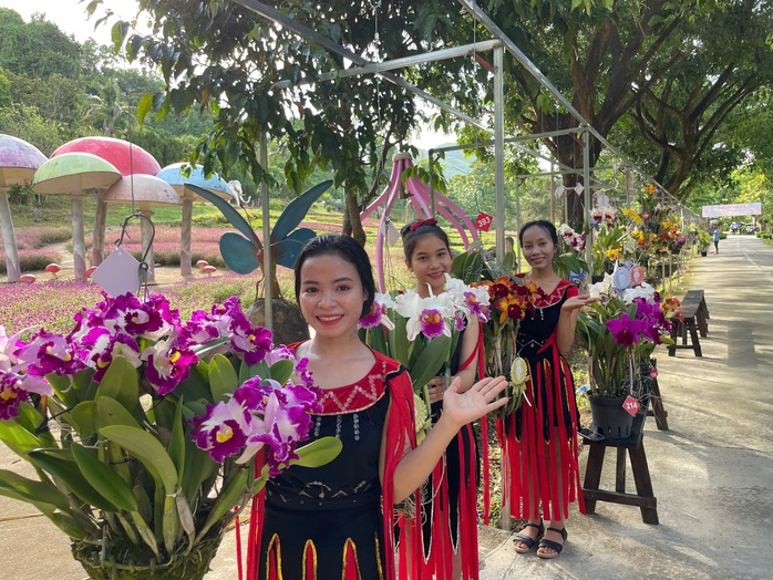Ngắm kiệt tác thiên nhiên hoa lan mùa hạ tại Khánh Hòa- Ảnh 1. Ngắm kiệt tác thiên nhiên hoa lan mùa hạ tại Khánh Hòa- Ảnh 1.